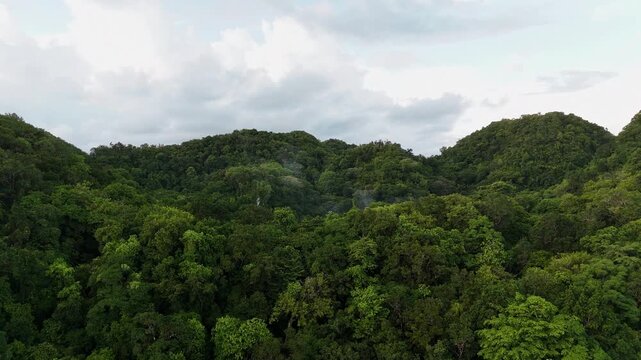 Drone flyover scanning and revealing the glowing waters and hidden lagoon in a forested island of Palau. Cinematic revealing drone shot.
