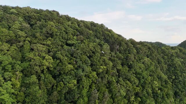 Elegant drone shot gliding around the forested island face and shore beside the glowing waters and emerald islands of Palau. Revealing aerial drone shot.