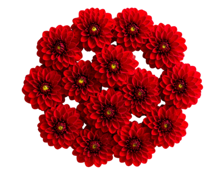 Red Flower Cluster Arranged Symmetrically in Circular Pattern, Overhead View - Powered by Adobe