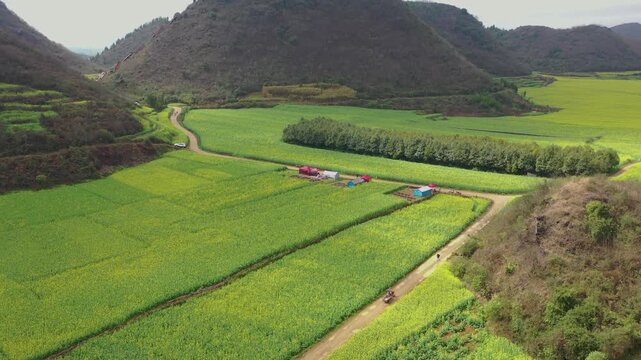 Exploring the lush green fields of Kunming Golden in China during a bright sunny day