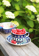 Fresh raspberries in a beautiful ceramic cup and saucer on a wooden bench in the garden. Selective focus.