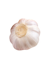 Top view of single garlic bulb isolated on white background with clipping path