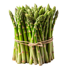 Asparagus Bunch Isolated on White Background