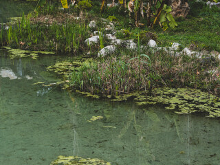 a beautiful pond in the natural park area