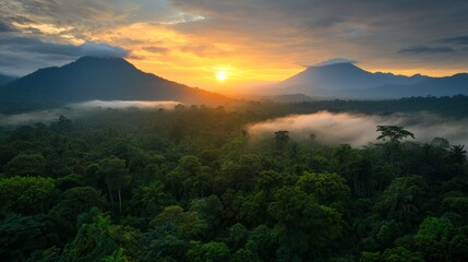 Untouched jungle landscape with mountain backdrop in Central Africa, cloudy sunset,