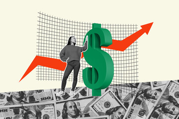 Full 3d art trend collage of happy businesswoman stand dollar sign arrow progress aim achievement...