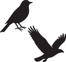 Black crow or raven perching on a winter branch, a striking silhouette vector illustration of the wild bird in nature