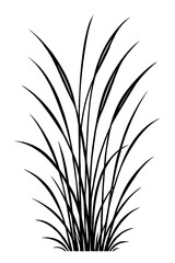 Simple Tall Grass Bush - Natural Vegetation Element Vector