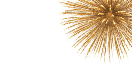 Obraz premium Golden fireworks display against a black background.