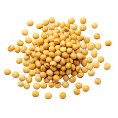 Scattered Soybean Seeds in Natural Pattern, Isolated on White Background