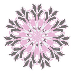 pink flower vector