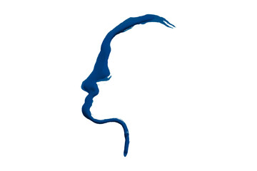 Beautiful blue watercolor brush isolated on transparent background.