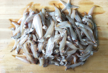 Tiny Fish Ready for Cooking, Seafood Delicacy