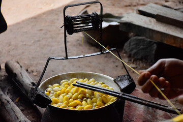 Boiling cocoon in a pot to prepare a cocoon silk.
