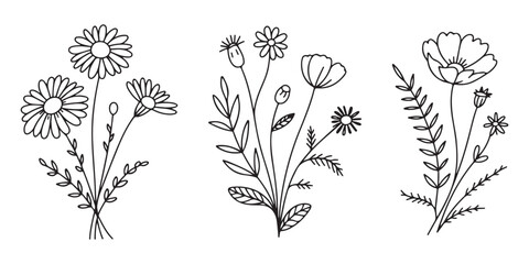 Elegant Botanical Illustrations of Wildflowers and Meadow Plants A Delicate Collection of Floral Line Art