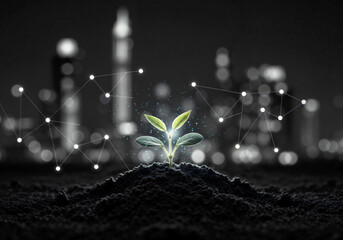 Glowing Sapling Sprouts Amidst a Vibrant. Digital Innovation Enhances Natural Growth of a Plant in a Conceptual Display