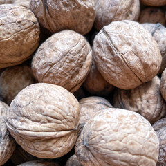 Close-up of unshelled walnuts with detailed brown shell texture, rustic organic nuts for healthy eating and food design