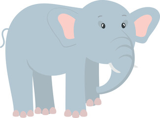 Baby elephant