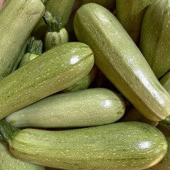 Fresh green zucchinis piled together, close-up of raw summer squash vegetables with natural texture and healthy organic shine