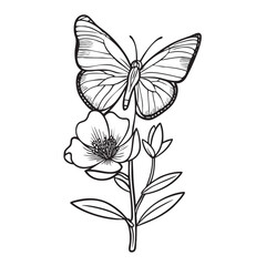 Obraz premium Butterfly and flower design for nature lovers and art enthusiasts