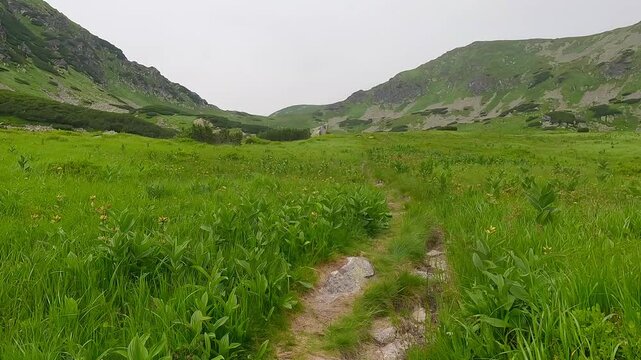 Hiking in beautiful Kobylia dolina valley in Tatra mountains in Slovakia