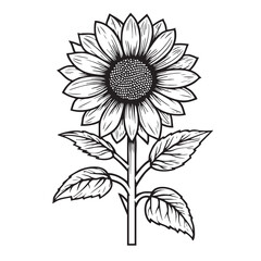 Sunflower design for print, wall art, greeting cards, decor