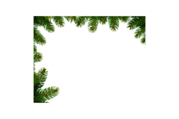 Green pine needles border decoration isolated on transparent background