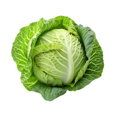 Obraz premium fresh raw cabbage isolated on a transparent background