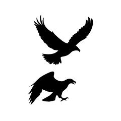 Obraz premium Eagle Flying and Landing Silhouettes