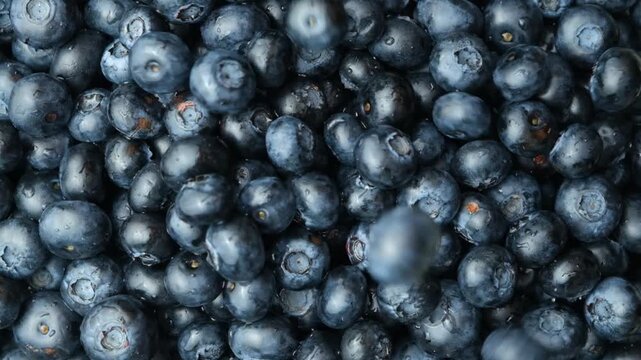 Fresh blueberries falling on a pile top view slow motion