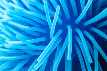 Abstract close-up of blue flexible silicone bristles.
