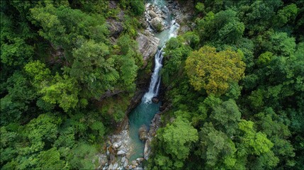 Lush forest surrounds a waterfall