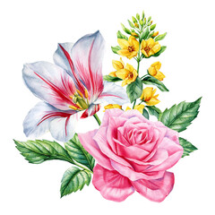 Pink rose with red white tulip and yellow flowers watercolor floral bouquet botanical spring illustration clipart