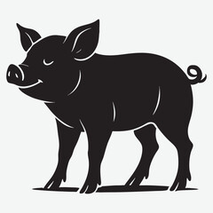 Fototapeta premium Black pig standing with curly tail animal farm