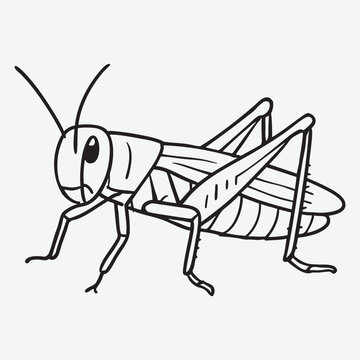 black and white grasshopper outline clip art preview