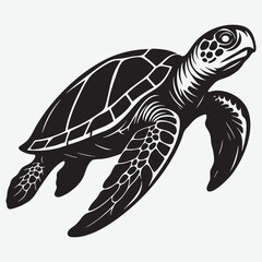 Fototapeta premium Black Sea Turtle Swimming Gracefully marine life ocean creature