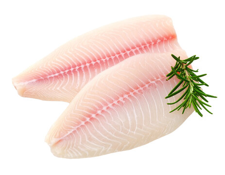 Dory fish fillet isolated on transparent background