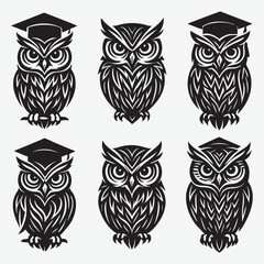 Wise owls with graduation caps wisdom education