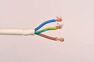 This close-up shot on a neutral background features a stripped electrical cable with exposed copper...
