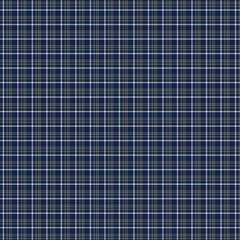 Seamless Navy Blue Green and White Plaid Pattern Texture