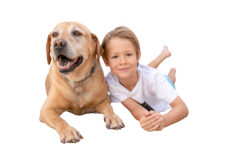 Cute little blond child boy with his labrador dog lying on floor over transparent background. PNG.