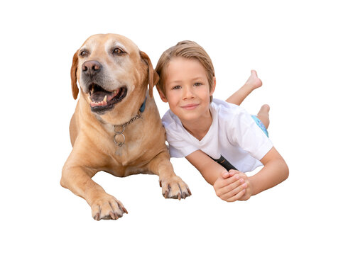 Cute little blond child boy with his labrador dog lying on floor over transparent background. PNG.