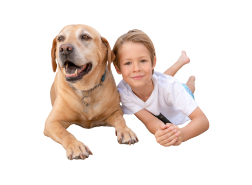 Cute little blond child boy with his labrador dog lying on floor over transparent background. PNG. - Powered by Adobe