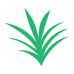 Green grass isolated on white background deisgn stock