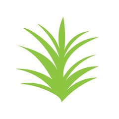 Green grass isolated on white background deisgn stock