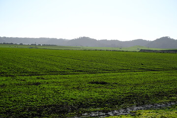 beautiful Australian farm