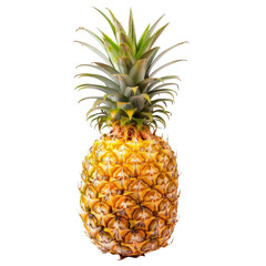 Ripe pineapple, vibrant yellow-gold skin, green crown