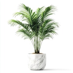 Obraz premium Lush green palm plant in a marble pot