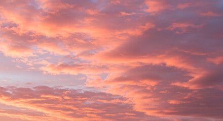 Fototapeta premium Beautiful pink, coral, and orange clouds glowing in a vibrant sunset sky. A serene and romantic nature background, perfect for wallpaper, design, and concepts of love, peace, or tranquility.