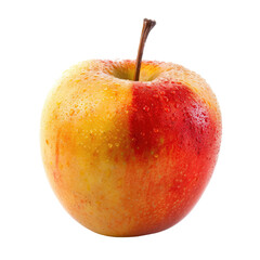 Single, ripe apple, yellow and red